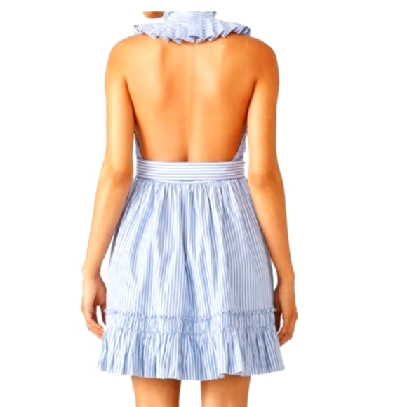 Alexis Briley Dress Small - Picture 3 of 6